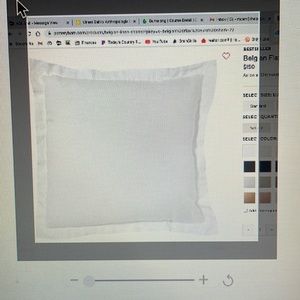 Pottery Barn euro shams 3